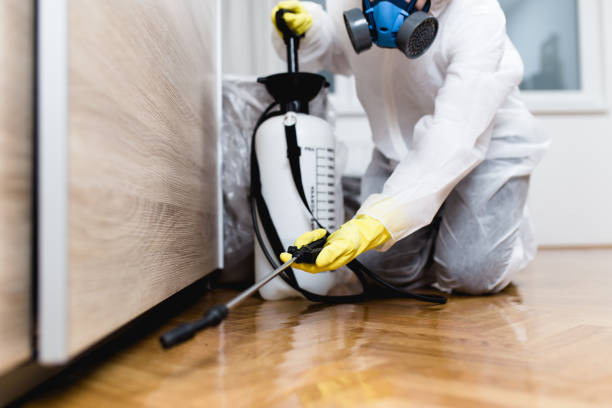 Reliable Renova, MS Pest Control Solutions