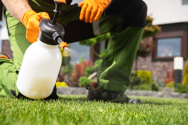 Best Pest Control Near Me  in Renova, MS