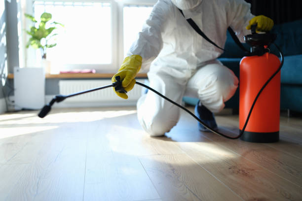 Best Flea Control Services  in Renova, MS