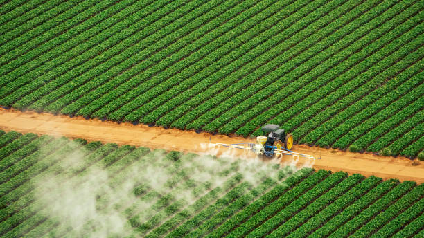 Best Cockroach Control Services  in Renova, MS