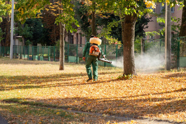 Best Affordable Pest Control Services  in Renova, MS