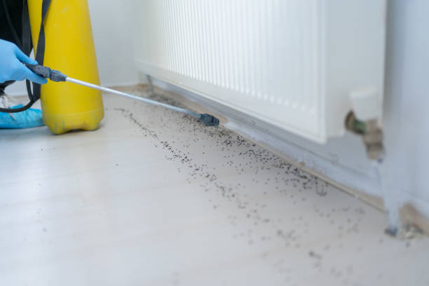 Best Pest Removal Services  in Renova, MS