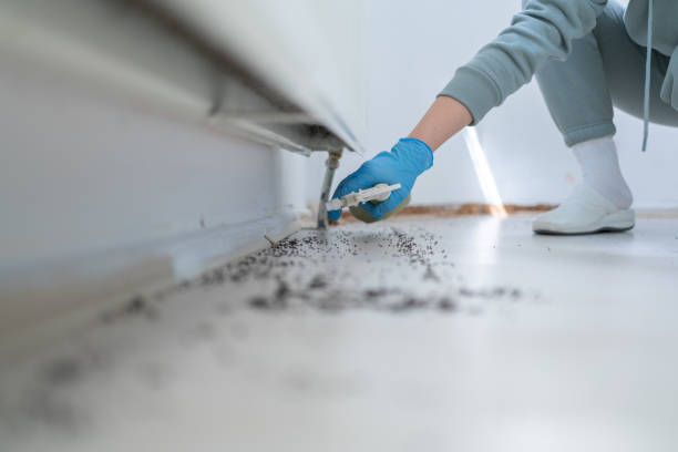 Best Bed Bug Extermination  in Renova, MS